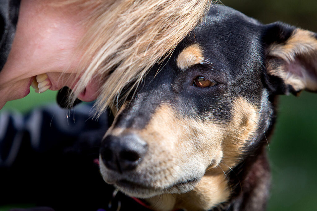 Una persona con i capelli biondi sorride da vicino toccando con la fronte Smilla, un cane nero e abbronzato, che condivide un momento di tenerezza e affetto all'aperto.