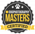 logo dogphotography masters