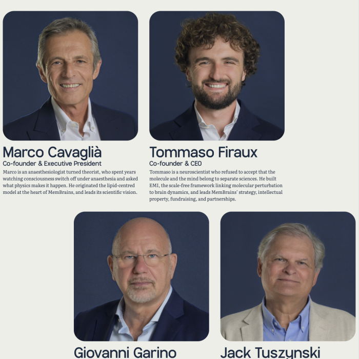 team della societa membrains pagina about del sito